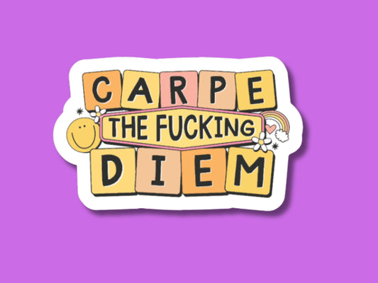 carpe diem sticker, water bottle sticker, journal sticker, seize the day, adult humor stickers, stickers for friends, lucky stickers