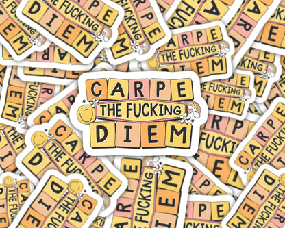 carpe diem sticker, water bottle sticker, journal sticker, seize the day, adult humor stickers, stickers for friends, lucky stickers