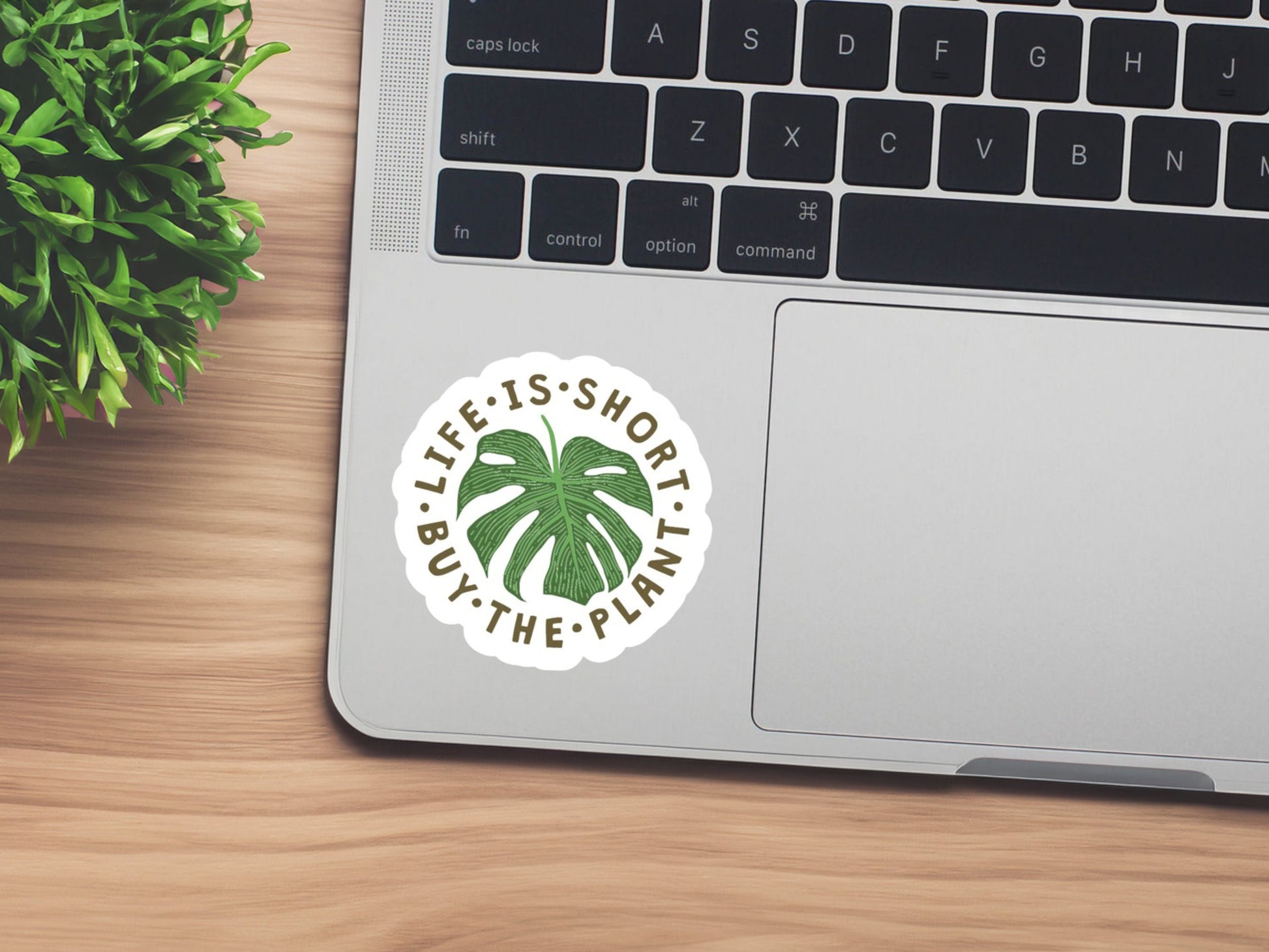 monstera sticker, plants sticker, plant store, gifts for plant lovers, gifts for mom, birthday gift for friend, life is short buy the plant