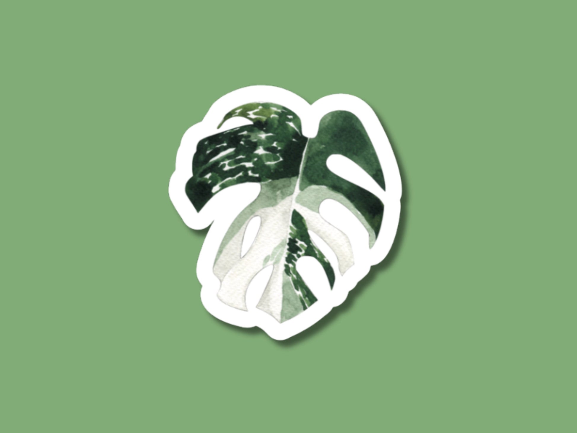 variegated monstera sticker, monstera stickers, gifts for mom, plant sticker for water bottle, plant store, plant gifts, plant stickers