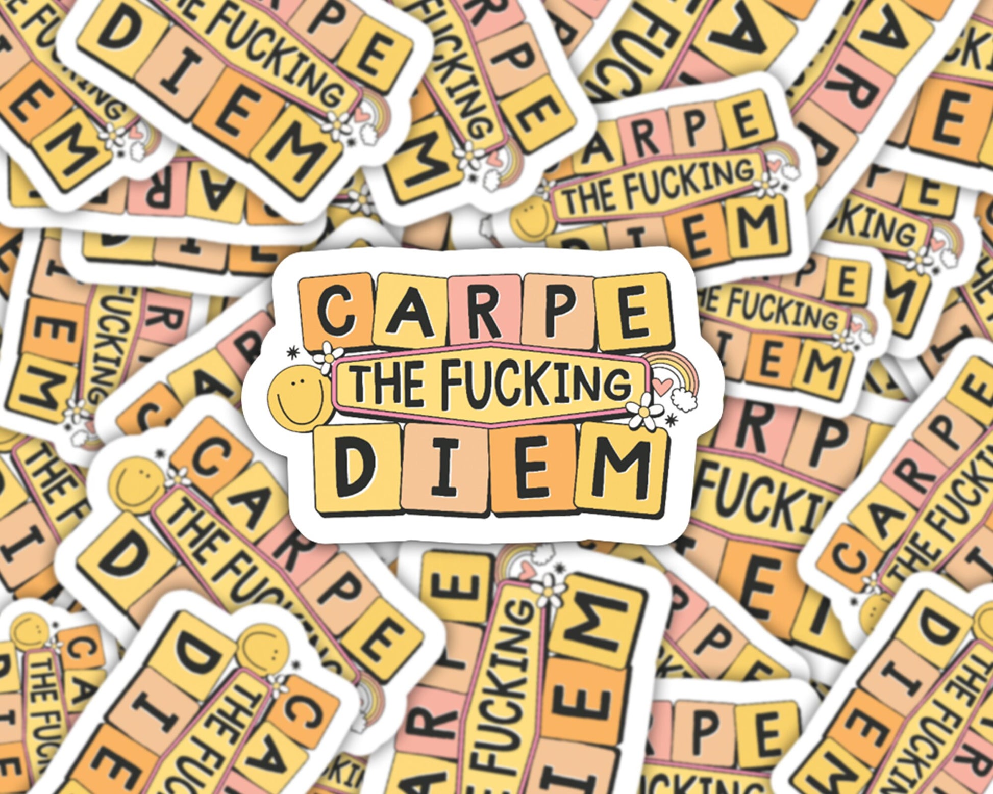 carpe diem sticker, water bottle sticker, journal sticker, cuss word stickers, adult humor stickers, stickers for friends, lucky stickers